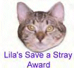 Lila's Award