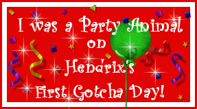 Hendrix's Party Banner