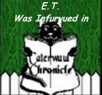 Caterwaul Intervu