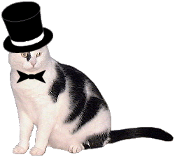 All dressed up
