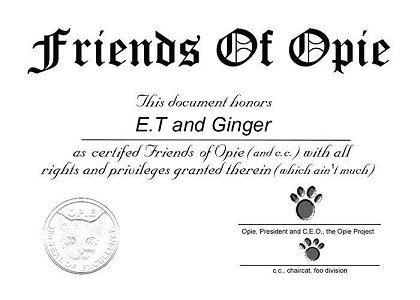 FOO Certificate