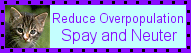 Spay/Neuter Blinkie