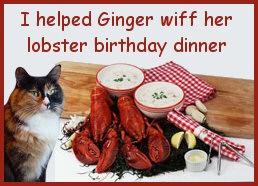 Birthday Lobster