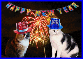 Ginger & E.T. are watching fireworks