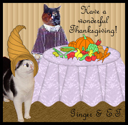 Ginger & E.T.'s Card
