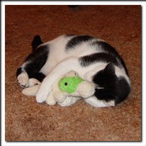 E.T.'s gator toy