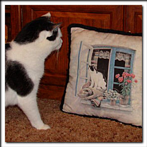 E.T.'s pillow