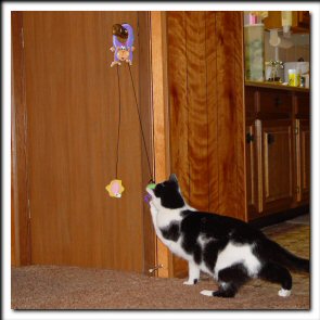 Door toys