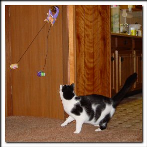 Door toys