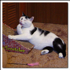 Scratching post
