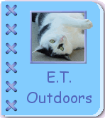 Outdoors