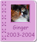 2003-2004 Album