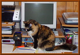 Daddy's Desk