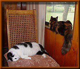 On guard duty
