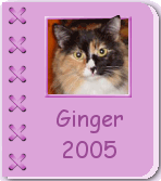 2005 Album
