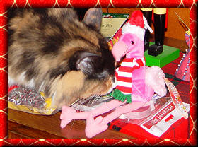Ginger with flamingo