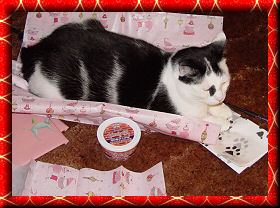 Wrapping gifts