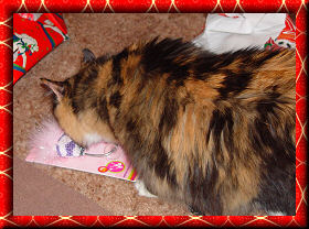 Ginger's purse