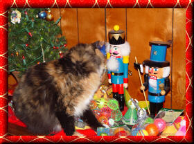Ginger with nutcrackers