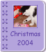 Christmas 2004 Album