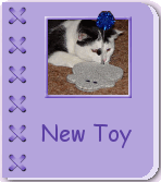 New Toy Album