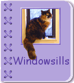 Windowsills Album