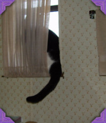E.T. in small window