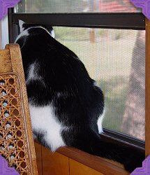 E.T. in window