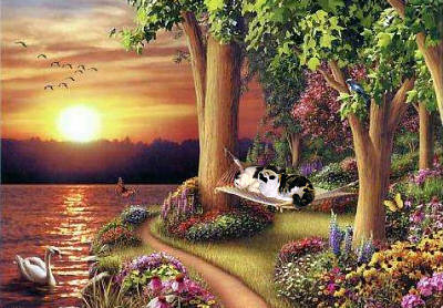 Hammock by Lake