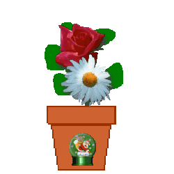 The Site Fights Spirit Flowers