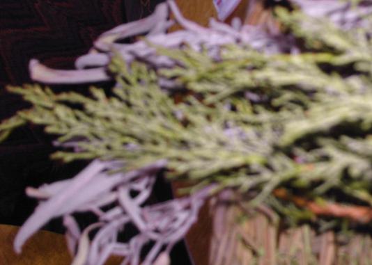 Sage and Juniper