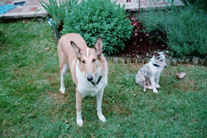 Ellie and Pablo