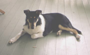 Max