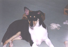 Max