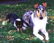 Marty & Prince