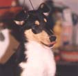 Sadie