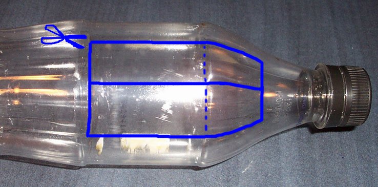 Pop bottle
