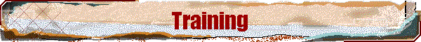 smstrain.gif (15063 bytes)
