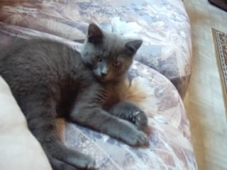 miaauuw