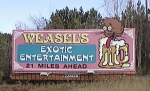 Weasels