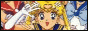 The Additional Series of S
