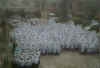 ASSEMBLY DAY