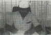 UST.MOHD B. IBRAHIM PENGETUA KE 3