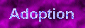 Adoption