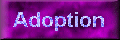 Adoption