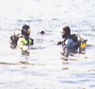 Bob prepares to take his life in his hands and submerge with me as his buddy!