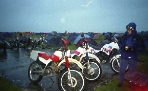 Pair of Serow's looking dainty in the rain