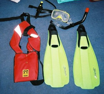Suitable equipment for warm water snorkelling (with swim costume of course!!)