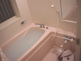 Japanese Bathroom