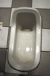Japanese style toilet